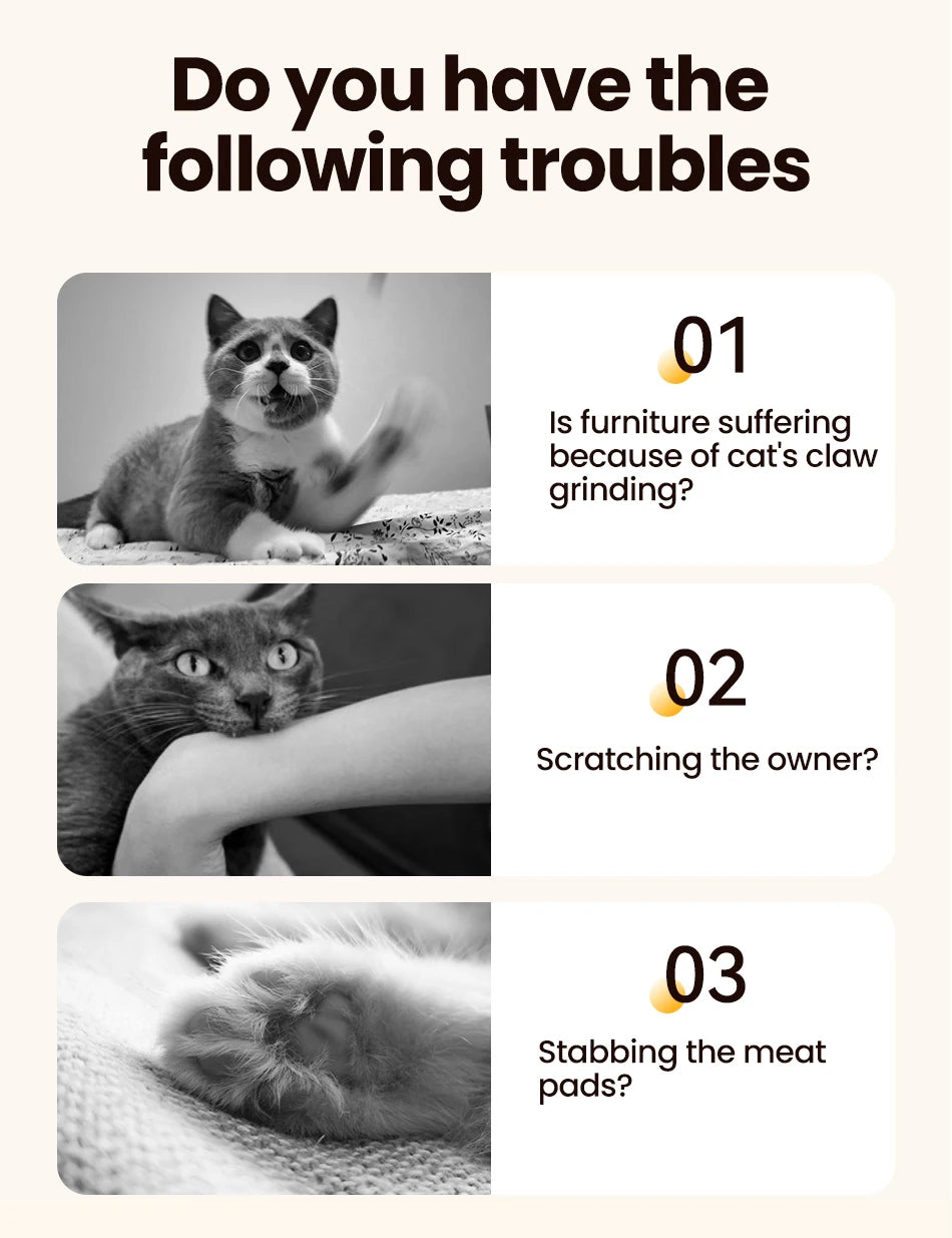Griffoir L ROJECO pour Chat