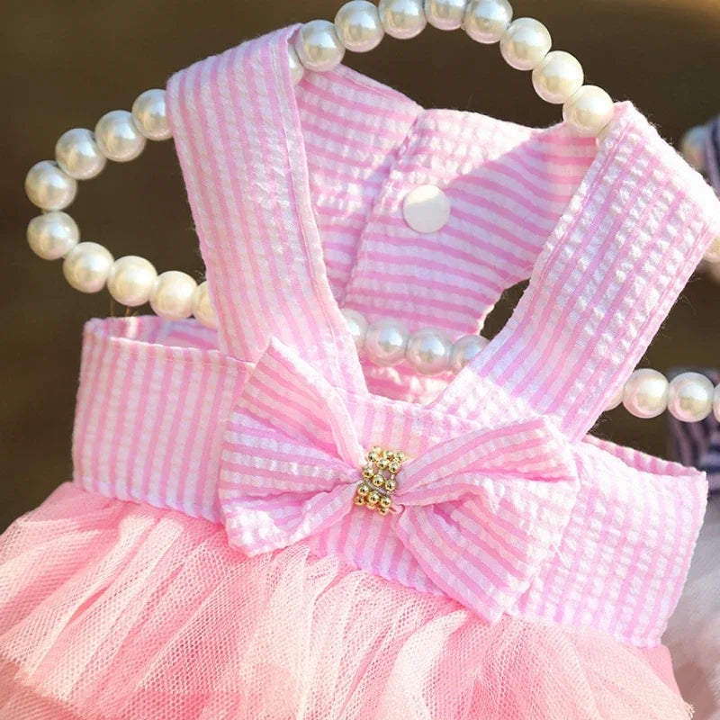 Robe Princesse Pour Animaux