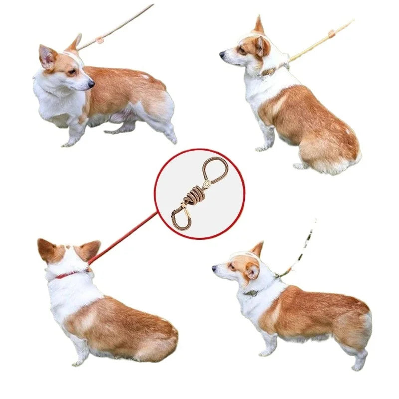 Laisse Corde Réglable Pour Chien