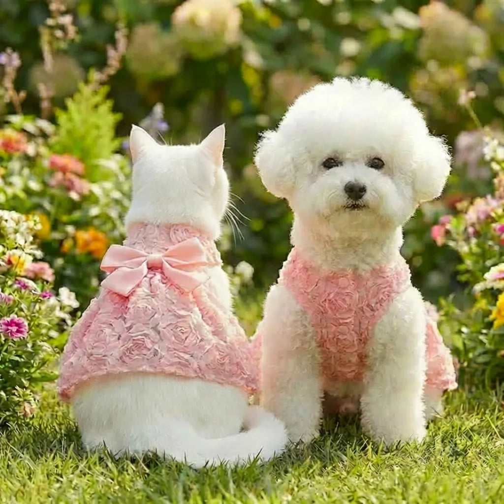Robe Princesse Fleurie