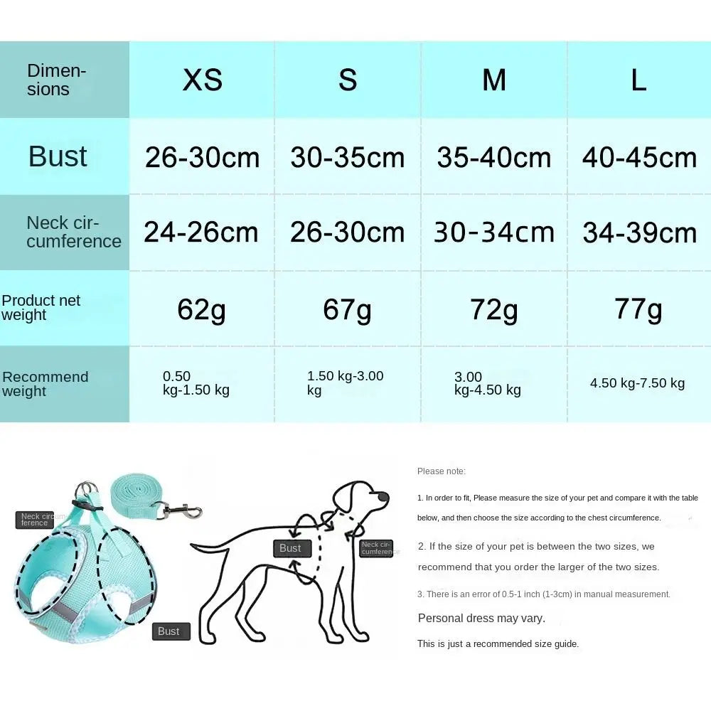 Balle Interactive pour Chien