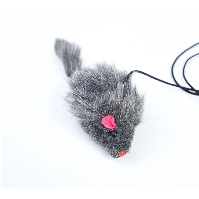 Souris Interactive Pour Chat