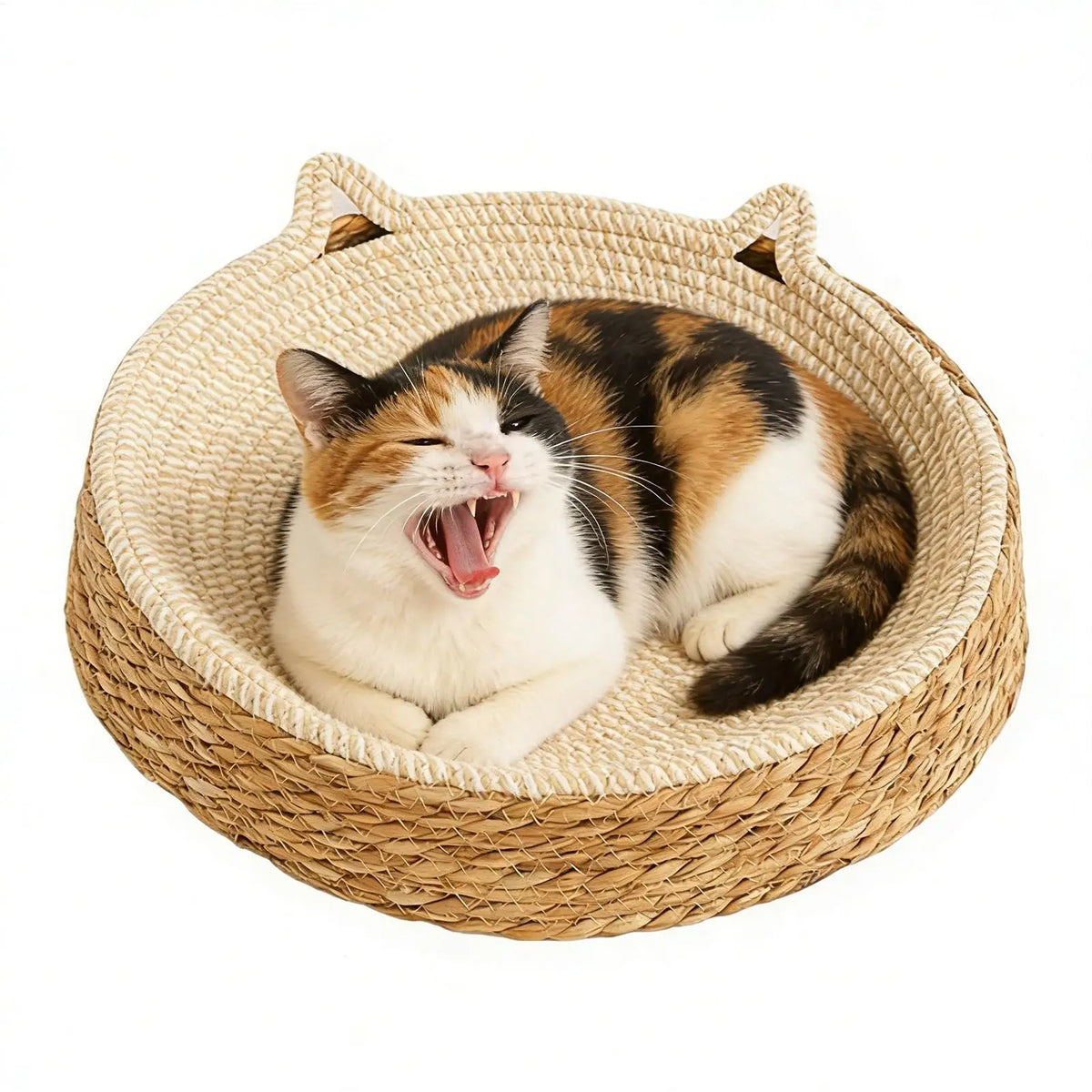 Nid Griffoir Douillet Chat