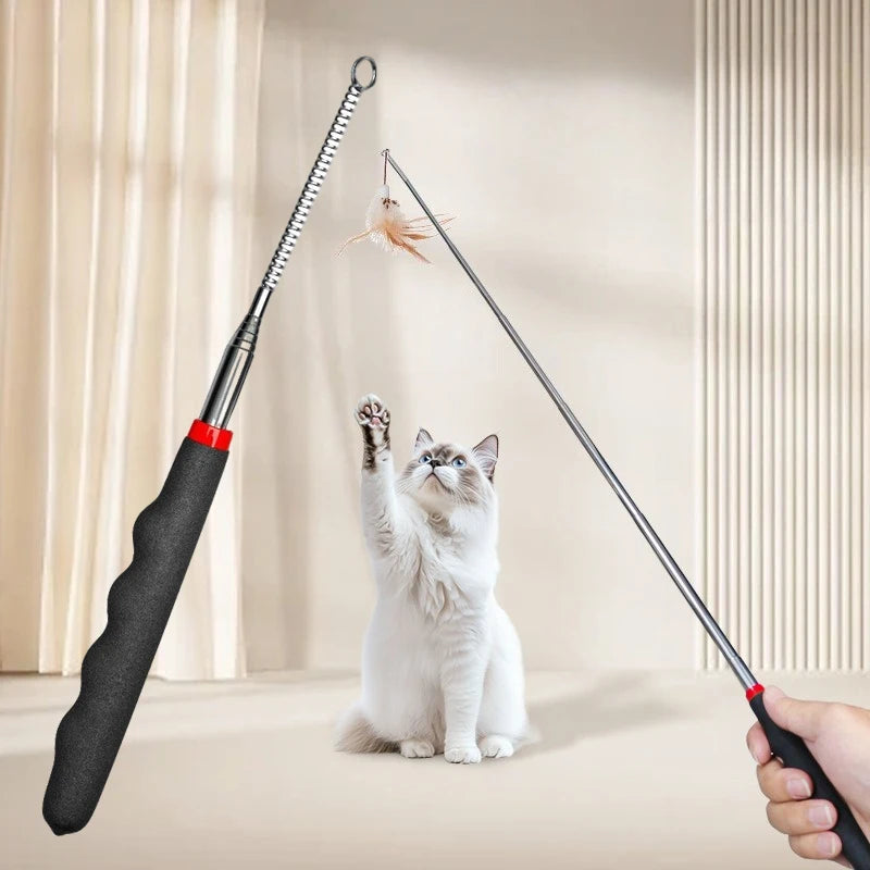Canne À Pêche Interactive