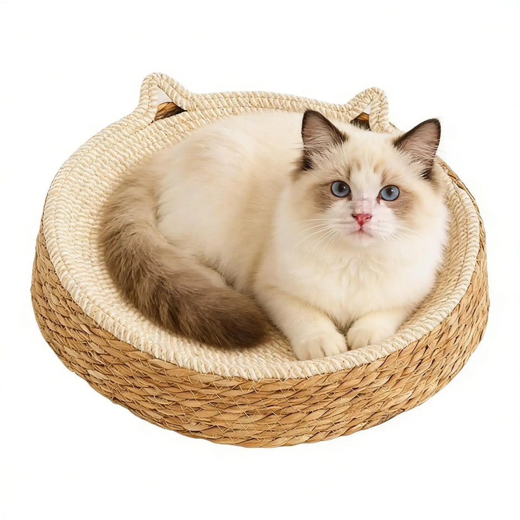 Nid Griffoir Douillet Chat