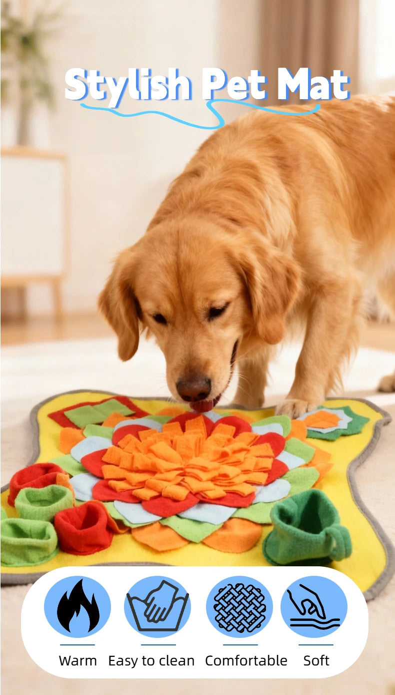 Tapis De Fouille Interactif