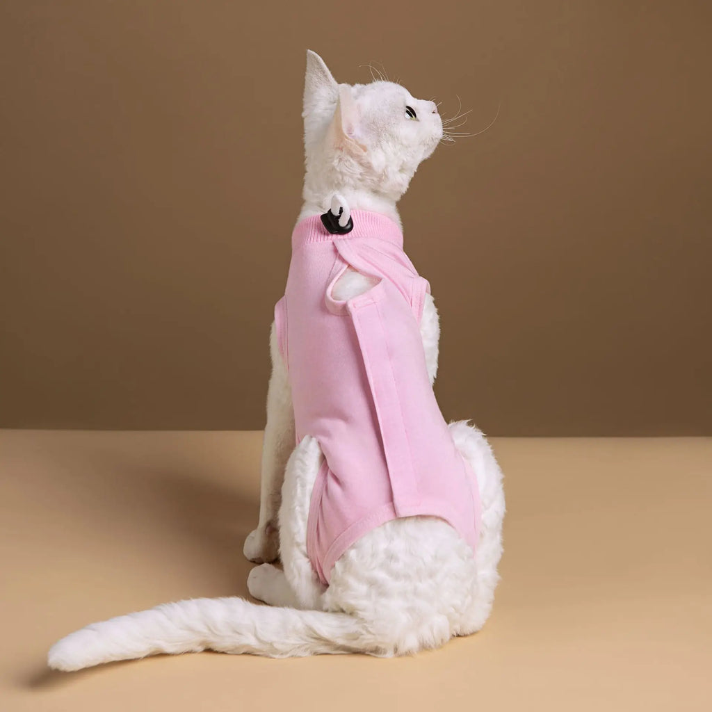 Combinaison Récupération Chat