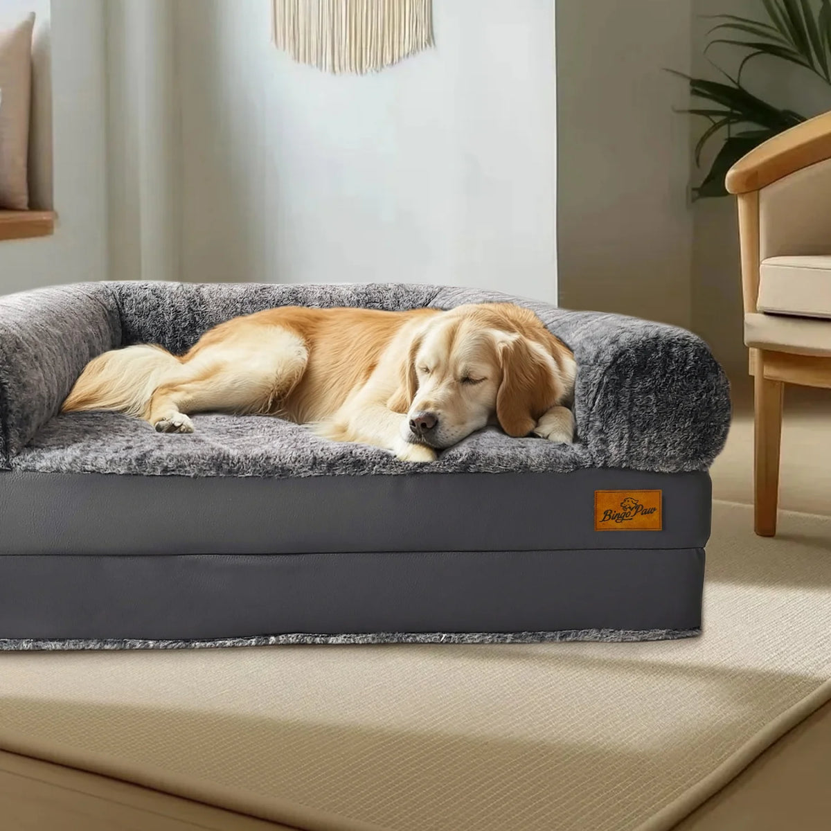 Grand Lit Partagé Humain Animal