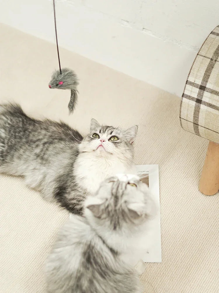 Souris Interactive Pour Chat