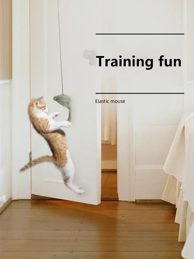 Souris Interactive Pour Chat