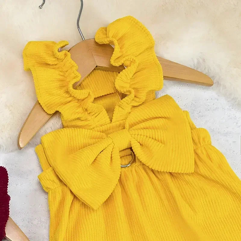 Tenue Princesse Pour Chat