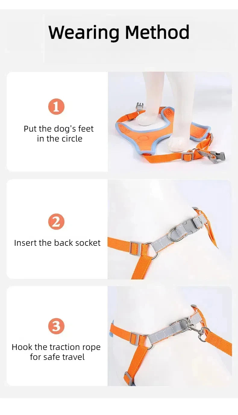 Harnais Anti-Traction Réfléchissant