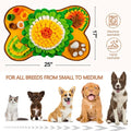 Grand Tapis de Fouille