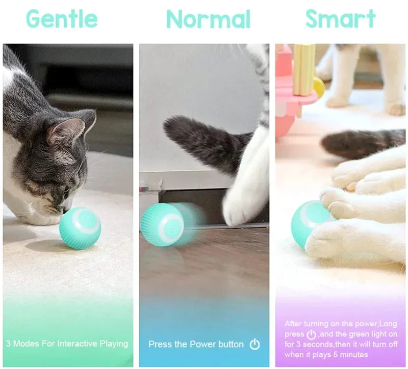 Balle Intelligente Pour Chat