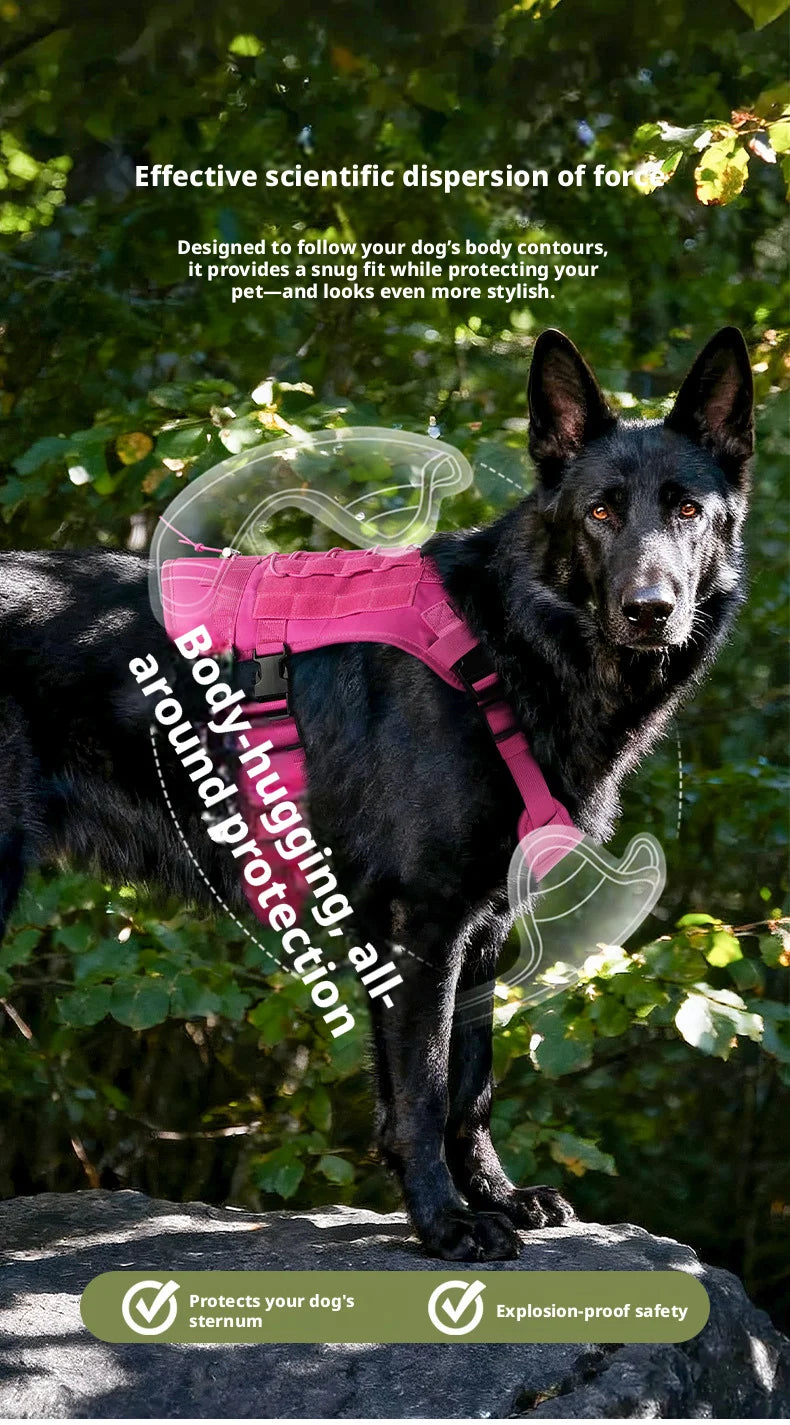 Harnais Chien Anti-Traction