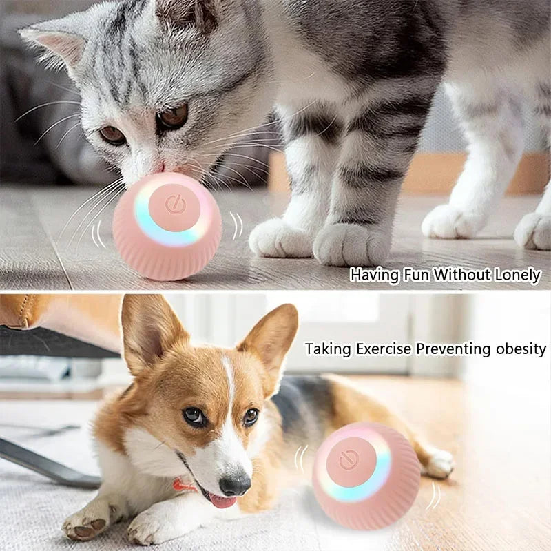 Balle Intelligente Pour Chat