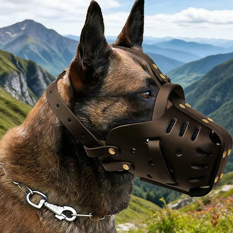 Muselière Confort pour Chiens