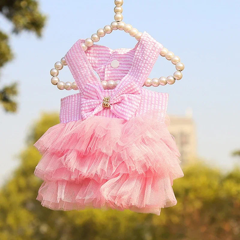Robe Princesse Pour Animaux