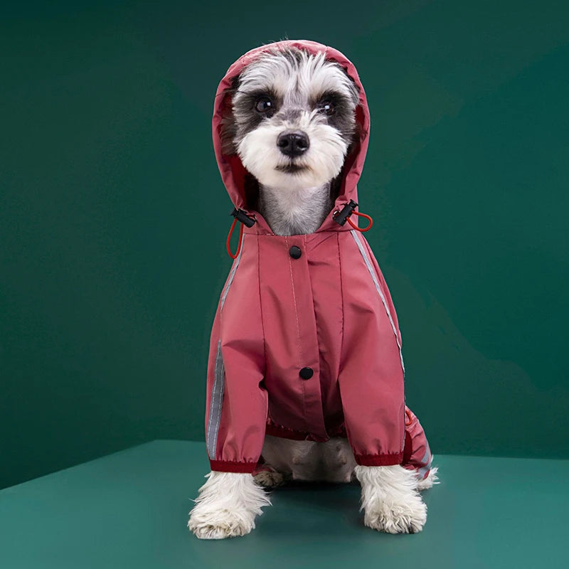 Imperméable Réfléchissant Pour Chien