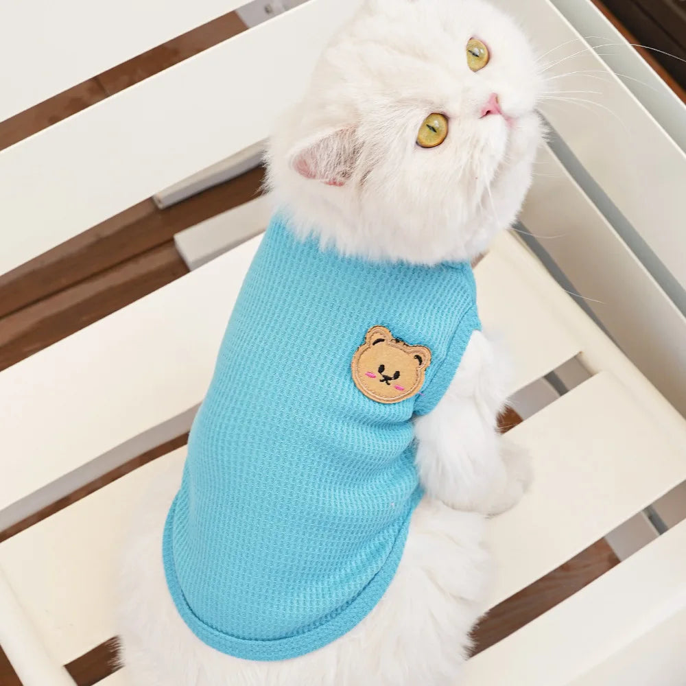 Gilet Ours Douillet Pour Chat