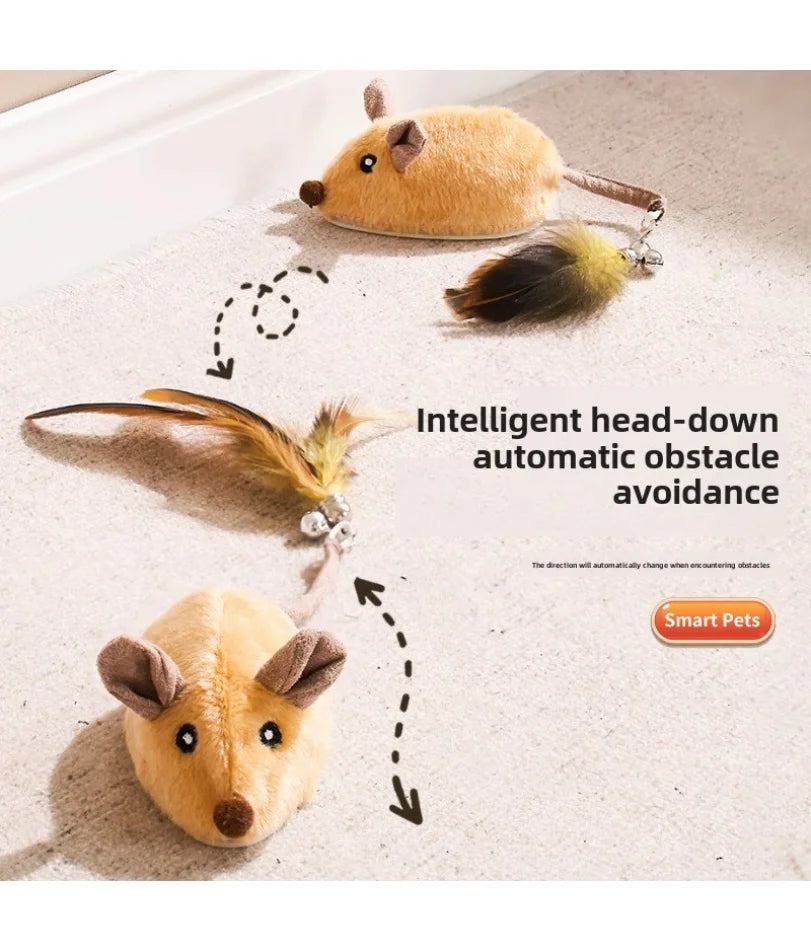 Souris Interactive Automatique