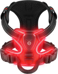 Harnais LED Lumineux