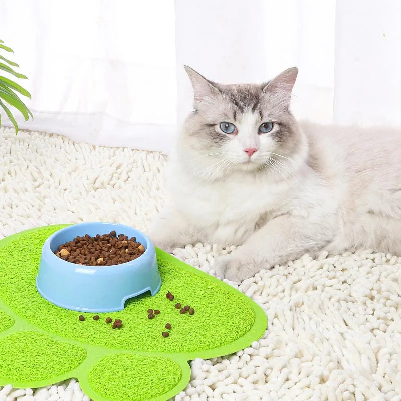 Tapis Anti-Saleté pour