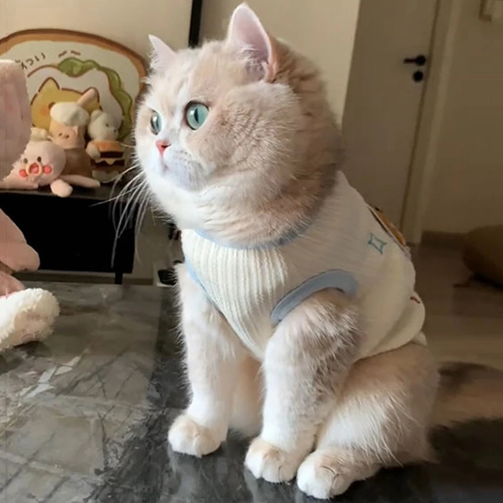 Gilet Respirant Pour Chat