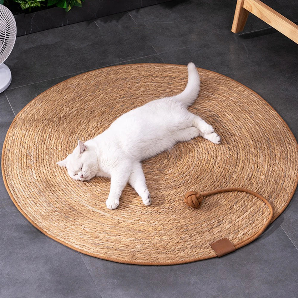 Griffoir Rattan Protecteur