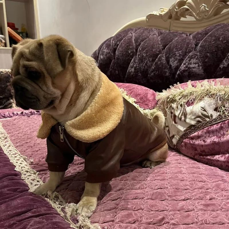 Manteau Hiver Pour Chien