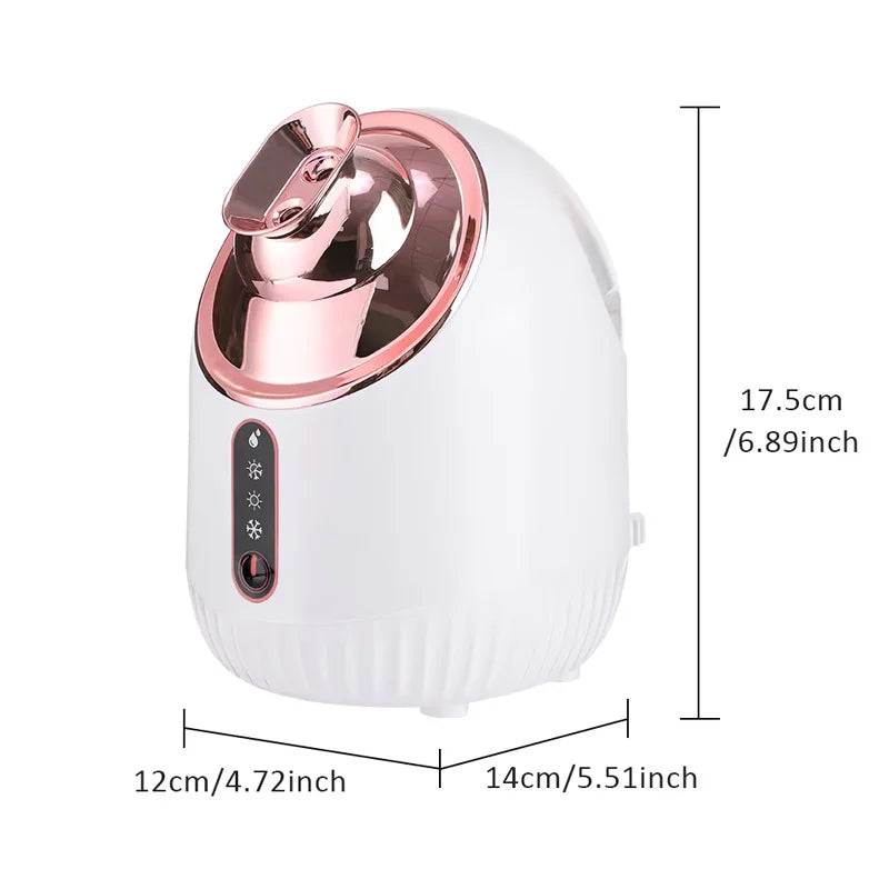 Brumisateur Vapeur Visage