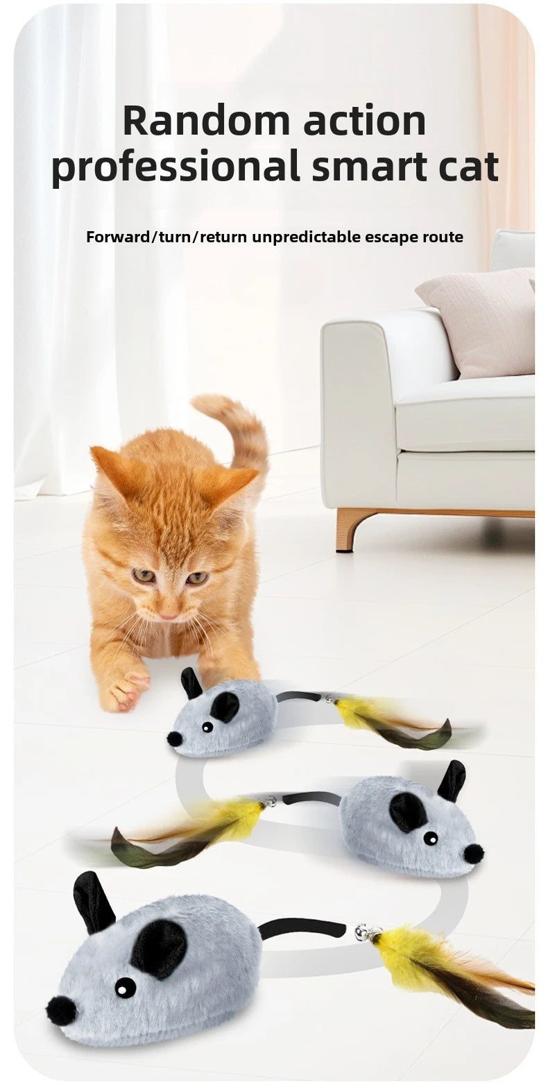 Souris Interactive Automatique