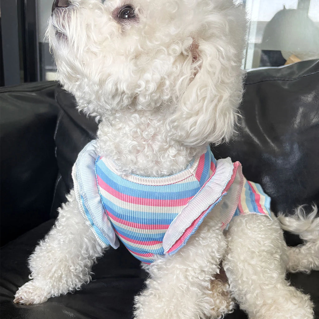 Robe Fleurie Pour Petit Chien