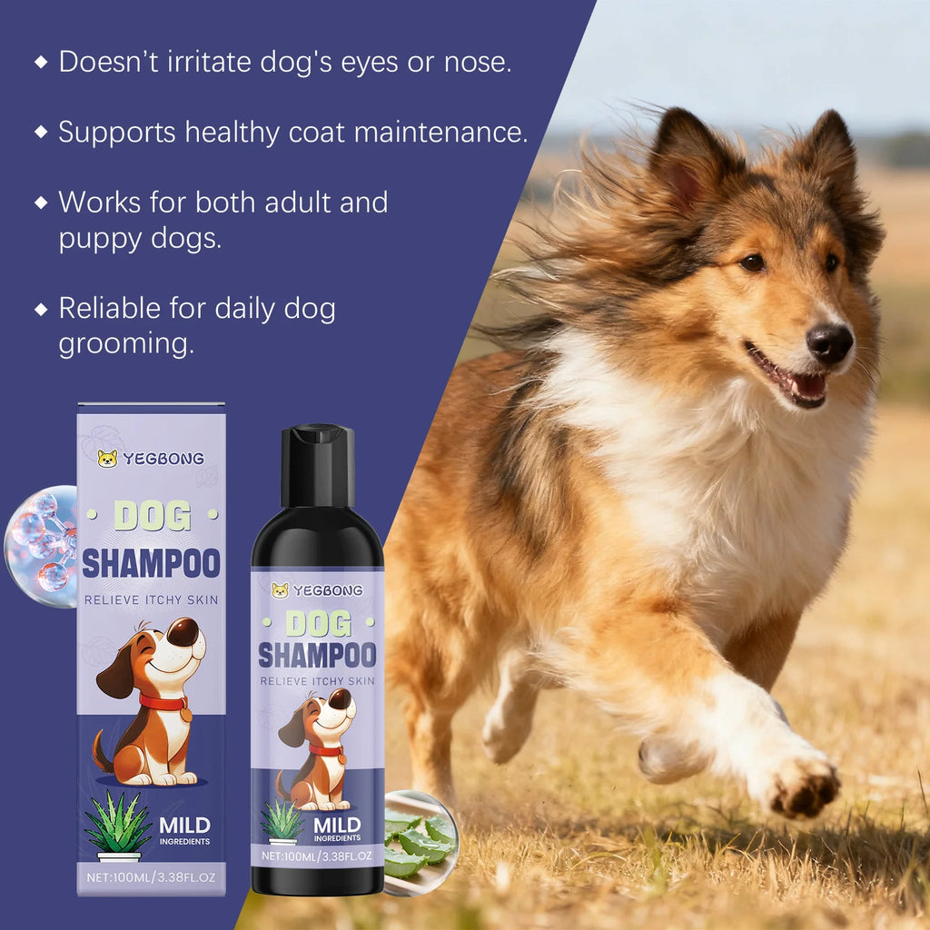 Shampooing Naturel Pour Chien