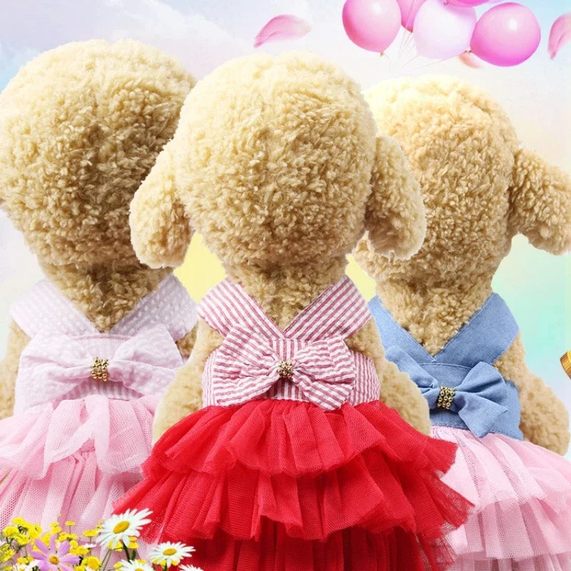 Robe Princesse Pour Animaux
