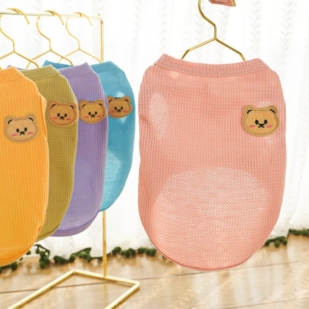 Gilet Ours Douillet Pour Chat