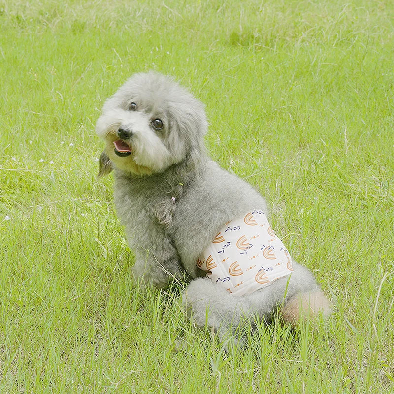 Culotte Lavable Pour Chien
