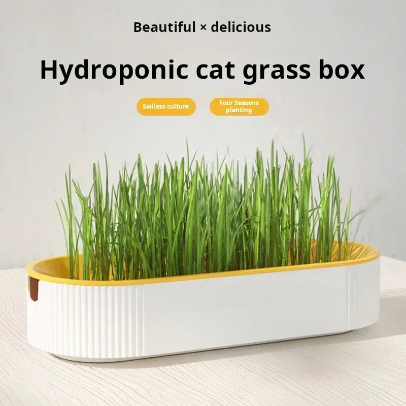 Balle Intelligente Pour Chat