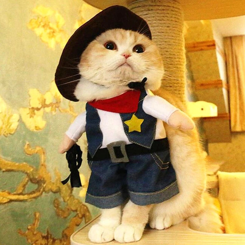 Costume Rigolo Pour Chat