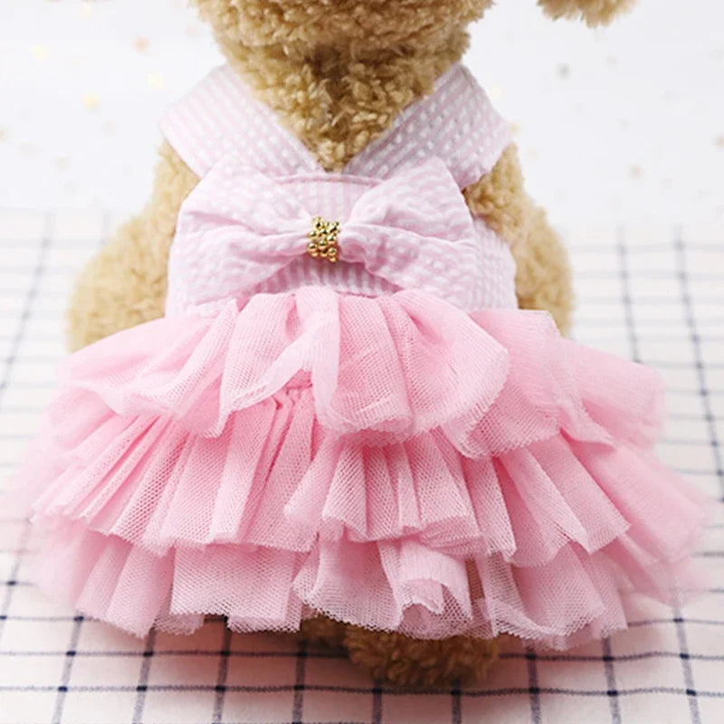 Robe Princesse Pour Animaux