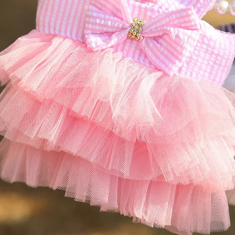Robe Princesse Pour Animaux