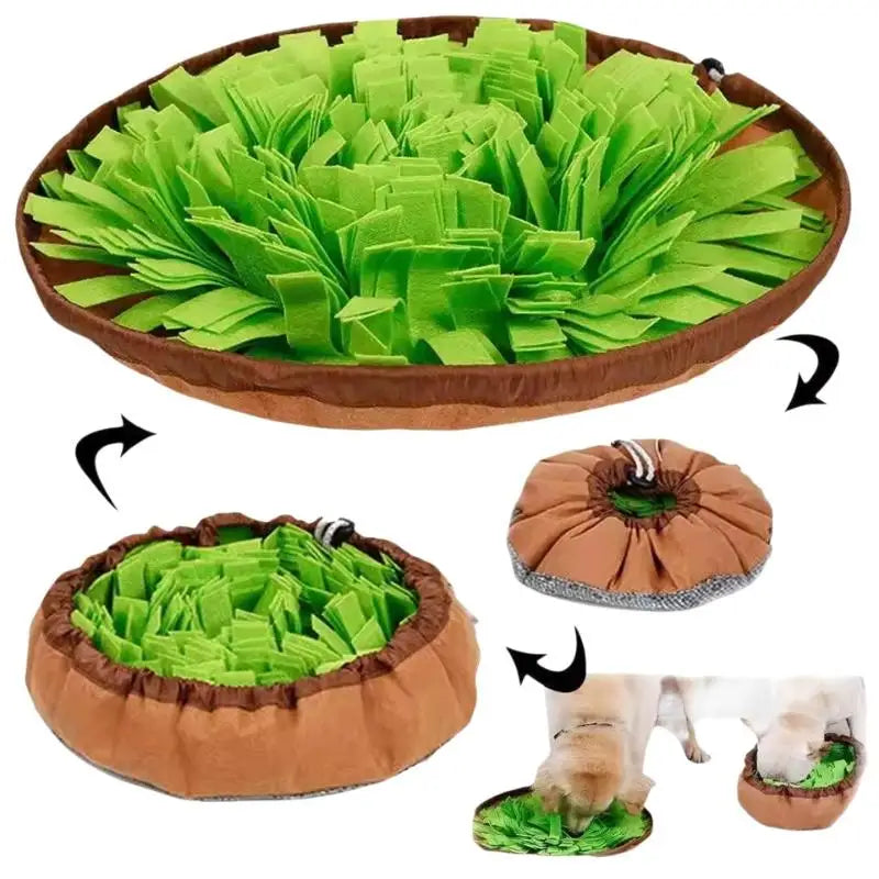 Tapis de Fouille Nomade