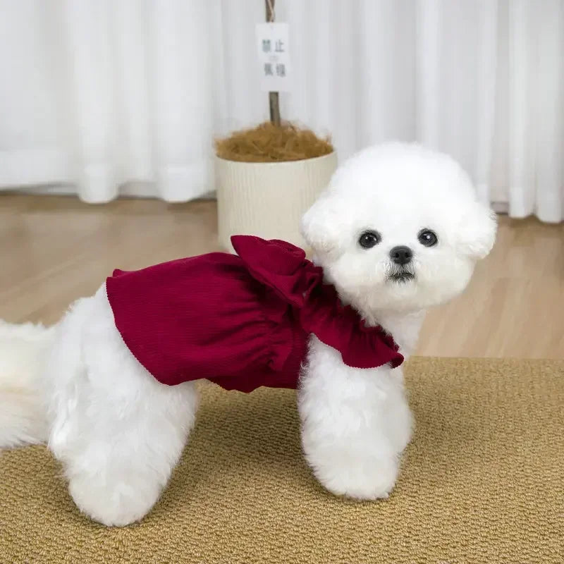 Tenue Princesse Pour Chat