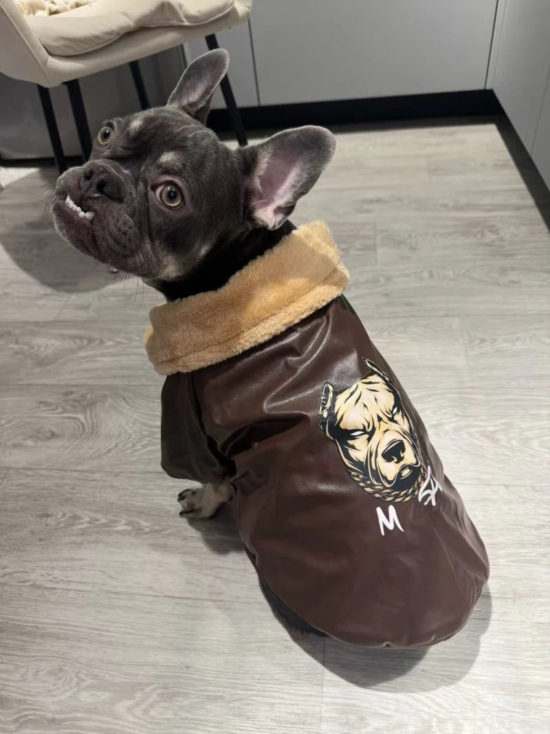 Manteau Hiver Pour Chien