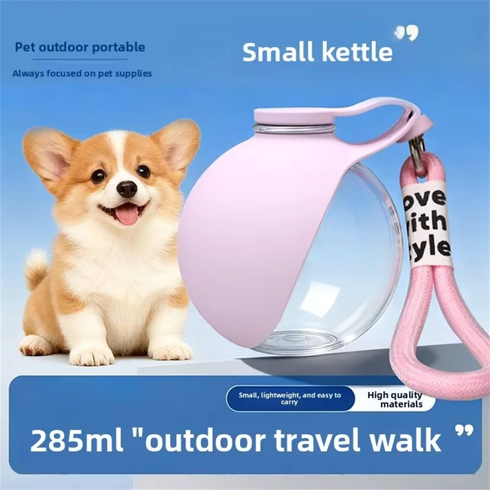Gourde Portable Anti-Fuite