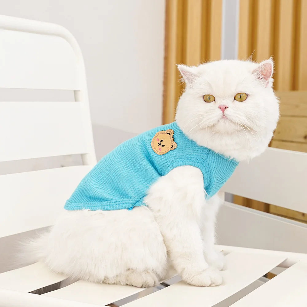 Gilet Ours Douillet Pour Chat