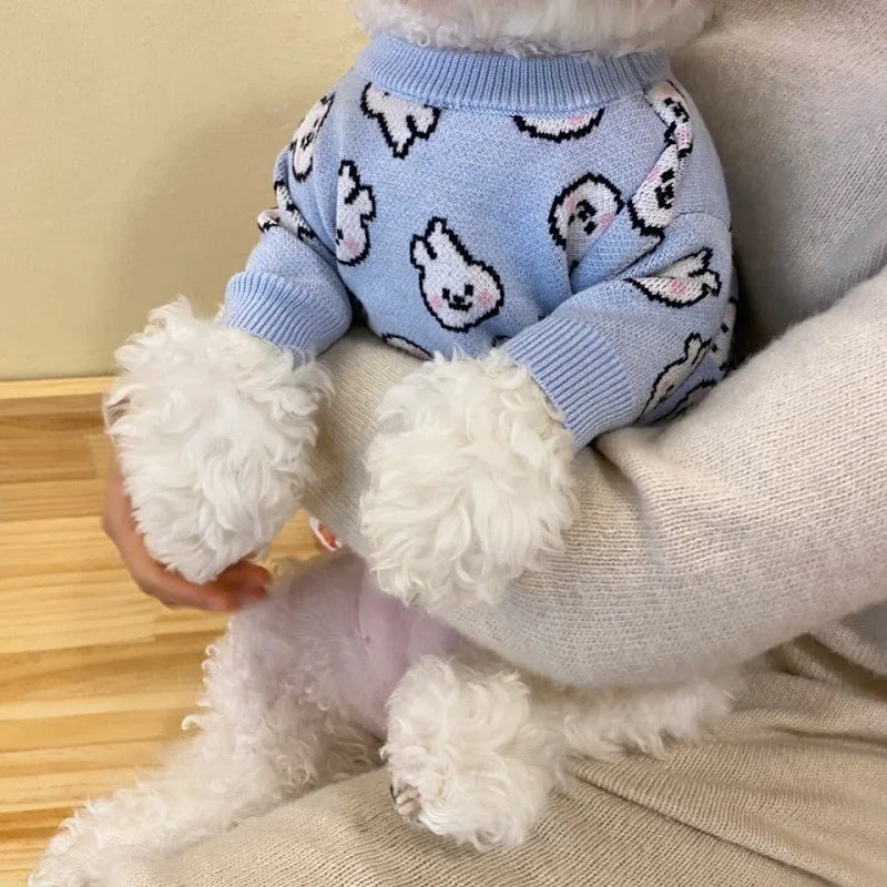 Pull Ours Douillet Pour Chien