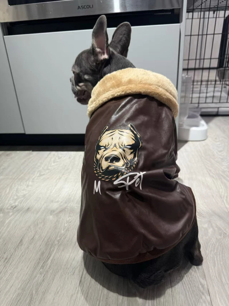 Manteau Hiver Pour Chien