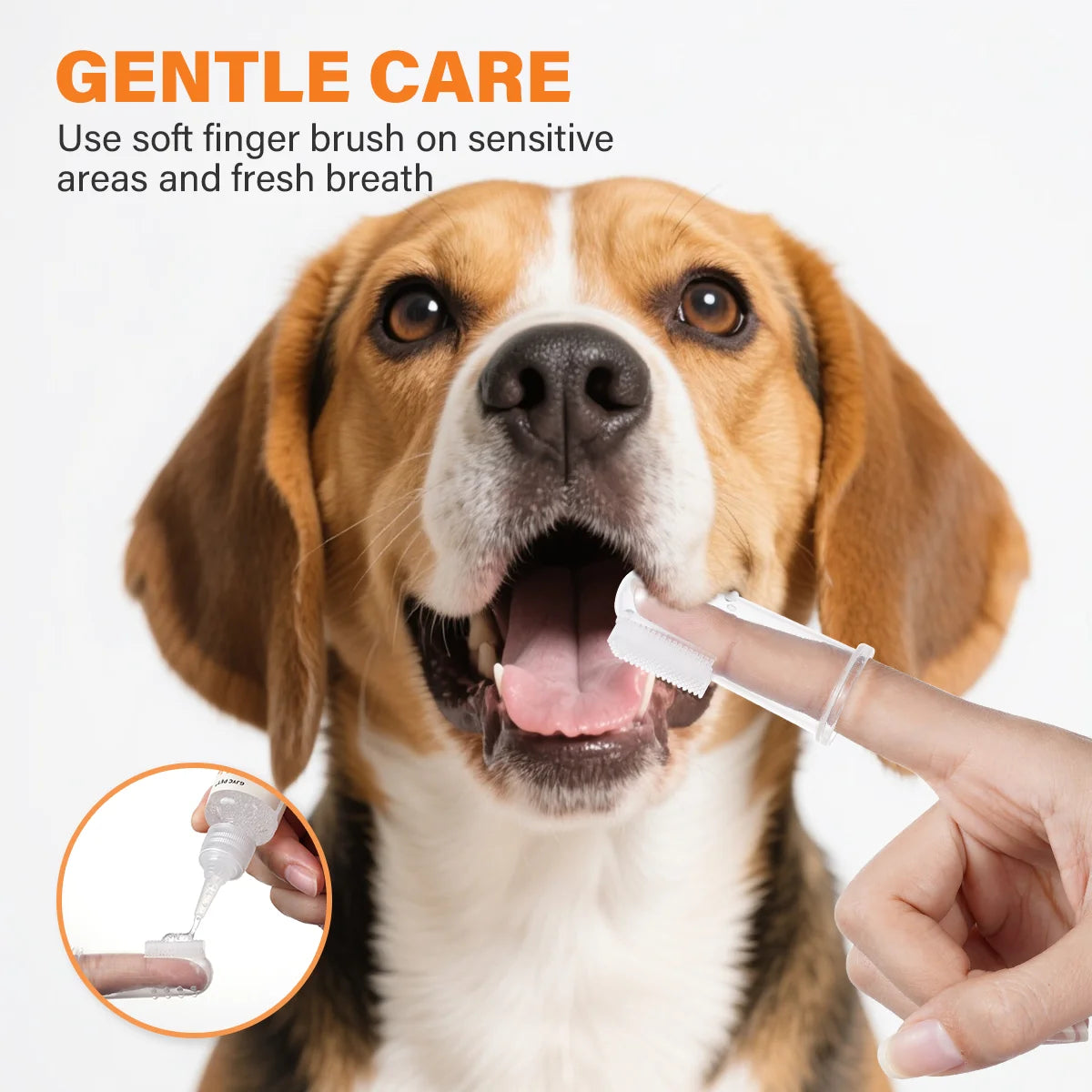 Kit Dentaire pour Animaux