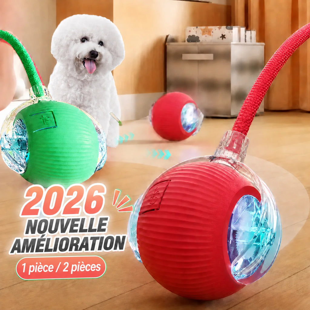 Balle Interactive Intelligente